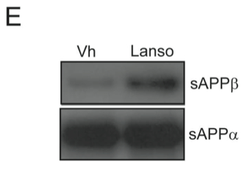 Figure 2.E